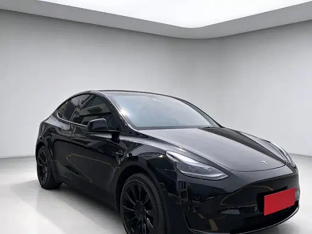 Tesla Model Y — Фото автомобиля 3