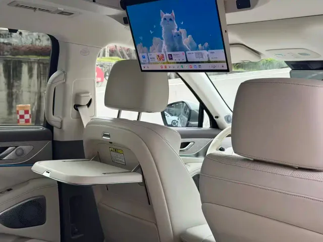 Wey Lanshan — Фото автомобиля 6