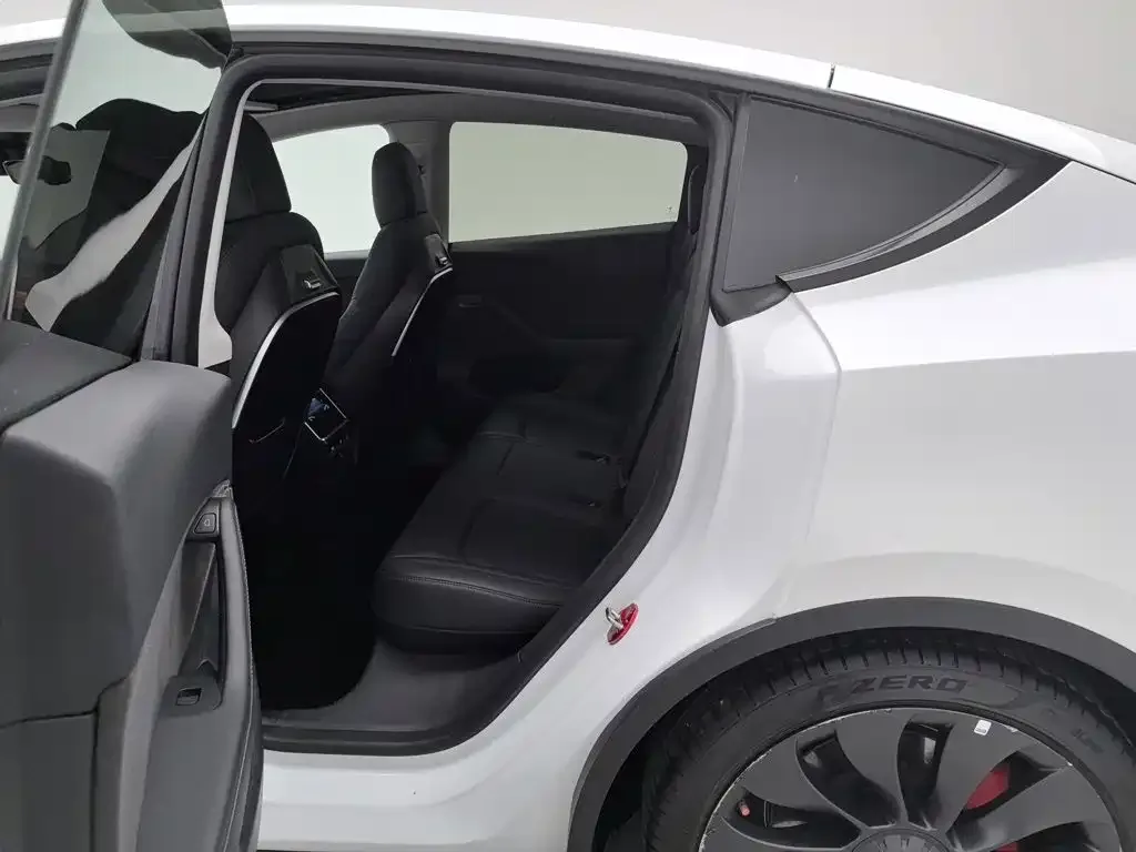 Tesla Model Y 2021 Performance High-Performance AWD — Фото автомобиля 15