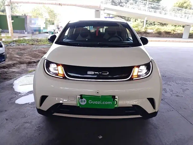 BYD Dolphin — Фото автомобиля 2