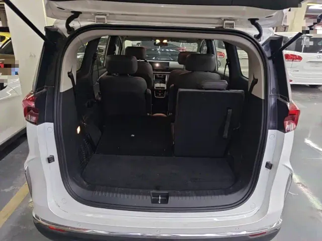 Maxus G50 PHEV — Фото автомобиля 18