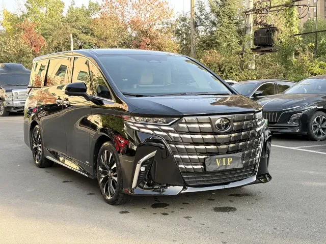 Toyota Alphard — Фото автомобиля 3