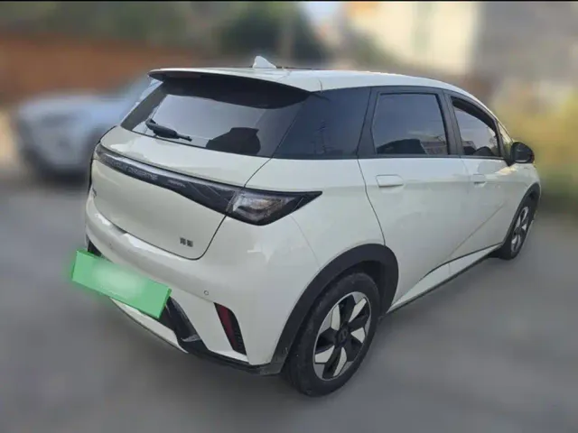 BYD Dolphin — Фото автомобиля 24