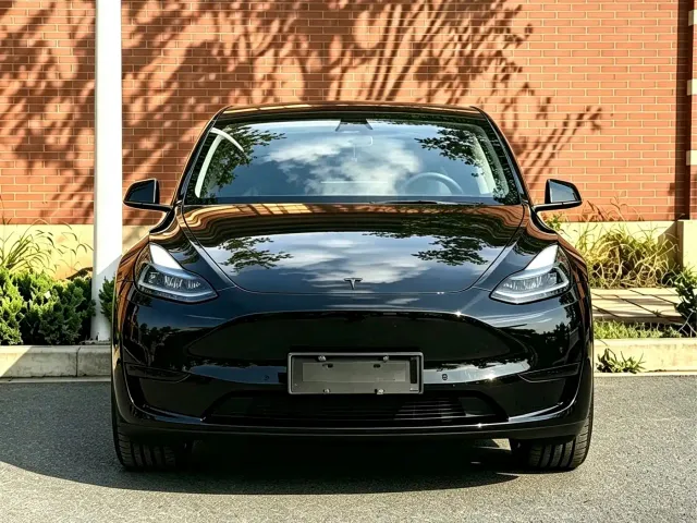 Tesla Model Y — Фото автомобиля 2
