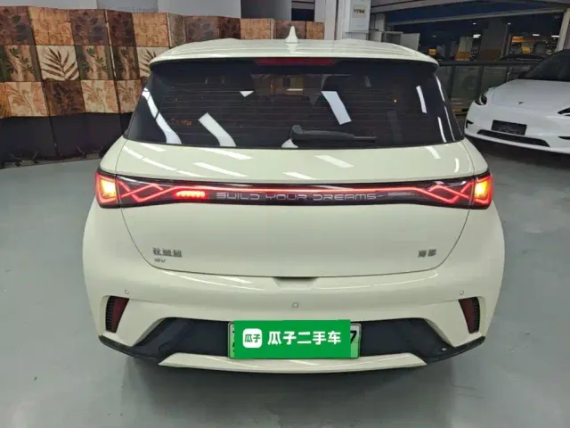 BYD Dolphin — Фото автомобиля 5