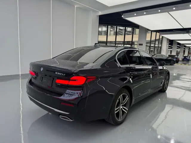 BMW 5 Series — Фото автомобиля 14