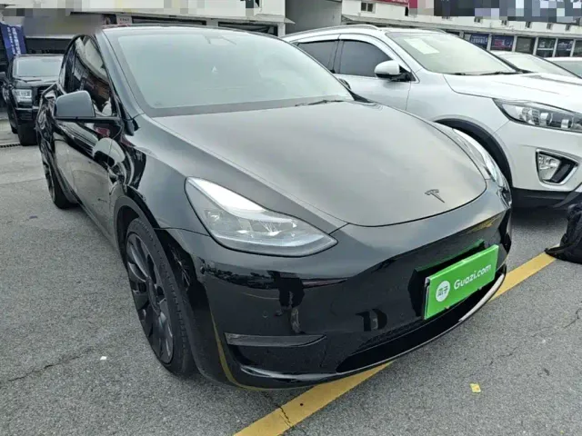 Tesla Model Y — Фото автомобиля 3