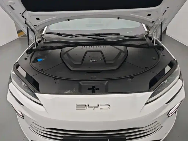 BYD Song PLUS — Фото автомобиля 19