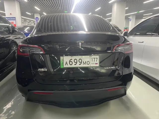 Tesla Model Y — Фото автомобиля 10