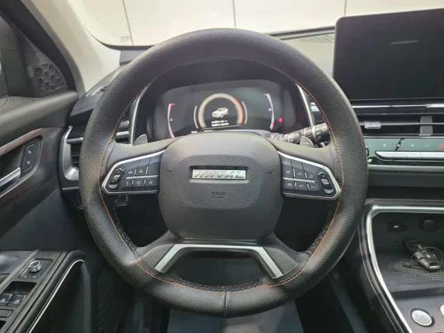 Haval Haval H6 2021 Model National Trend Edition 1.5T Auto Champion — Фото автомобиля 15