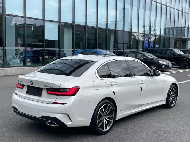 BMW BMW 3 Series 2022 320Li M Sport Package — Фото автомобиля 18
