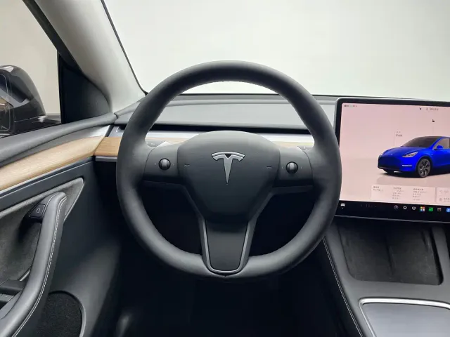 Tesla Model Y — Фото автомобиля 12