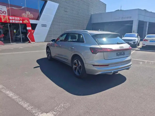 Audi e-tron — Фото автомобиля 6
