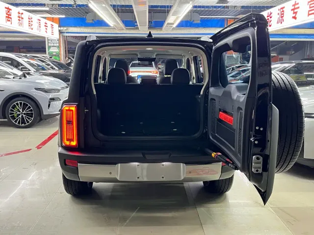 Haval Raptor — Фото автомобиля 16