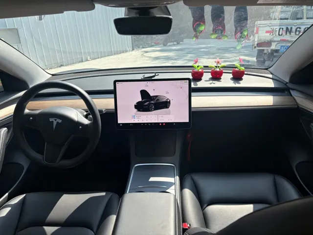 Tesla Model 3 — Фото автомобиля 6