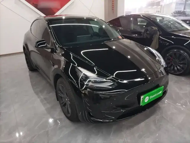 Tesla Model Y — Фото автомобиля 3