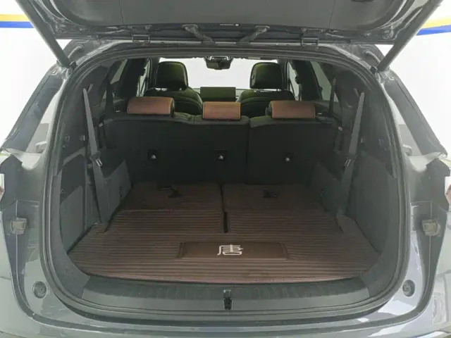 BYD Tang New Energy 2021 DM-i 112KM Honor — Фото автомобиля 4