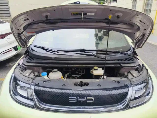 BYD Dolphin — Фото автомобиля 3