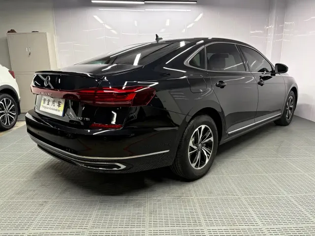 Volkswagen Passat — Фото автомобиля 18