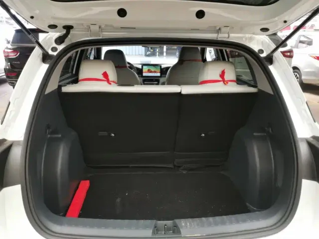 Geely Starry Wish — Фото автомобиля 18
