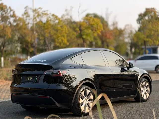 Tesla Model Y — Фото автомобиля 6