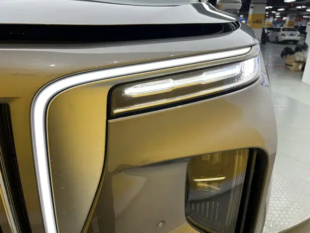 Hongqi E-HS9 — Фото автомобиля 7