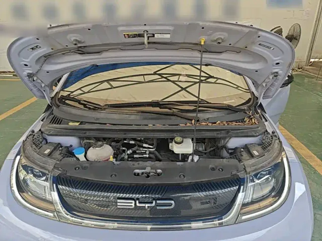 BYD Dolphin — Фото автомобиля 19