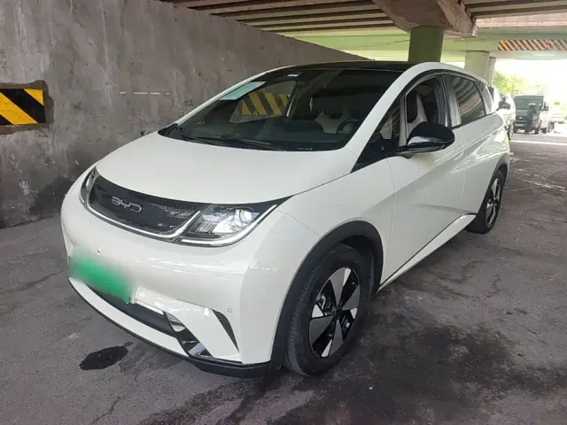 Фотография автомобиля — BYD Dolphin