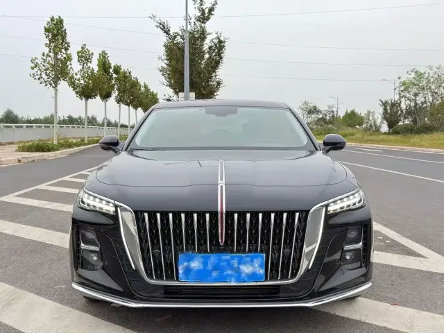 Hongqi Hongqi H5 2025 1.5T DCT Flag Rhythm 500,000 Units Memorial Edition — Фото автомобиля 2