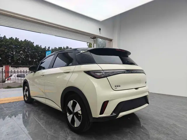 BYD Dolphin — Фото автомобиля 6