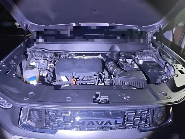 Haval Big Dog — Фото автомобиля 16