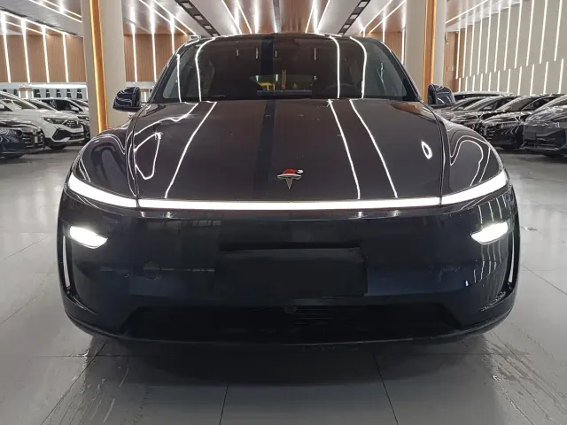 Tesla Model Y — Фото автомобиля 2