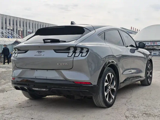 Ford Mustang Mach-E — Фото автомобиля 7