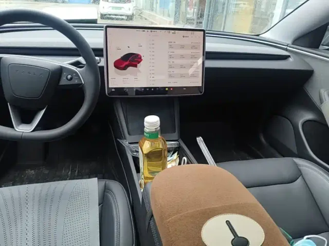 Tesla Model 3 — Фото автомобиля 12