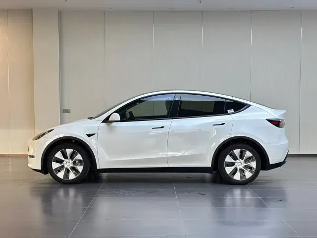 Tesla Model Y — Фото автомобиля 7