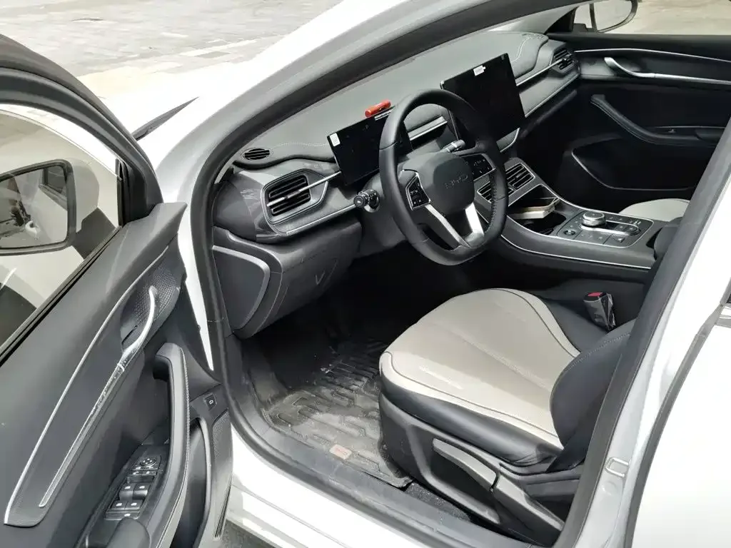 BYD Destroyer 05 2024 Glory Edition DM-i 55KM Luxury — Фото автомобиля 17