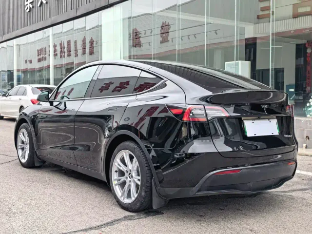 Tesla Model Y — Фото автомобиля 9