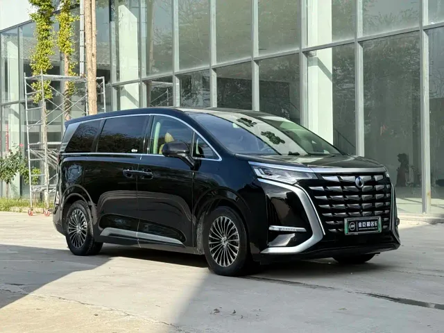 Denza D9 — Фото автомобиля 3