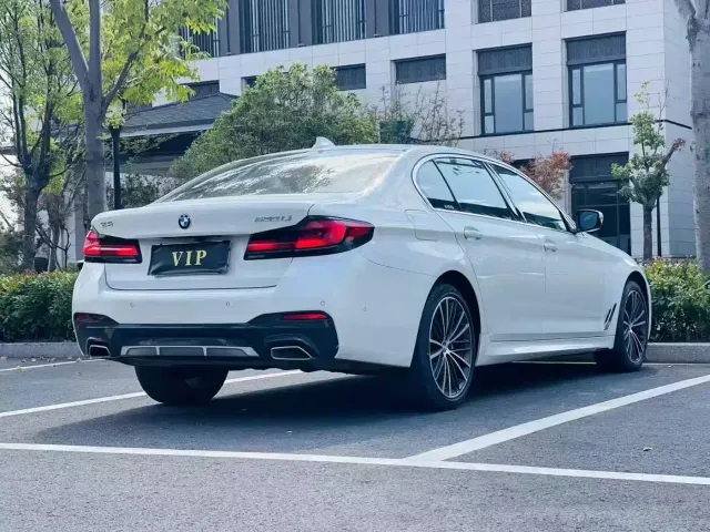 BMW 5 Series — Фото автомобиля 9