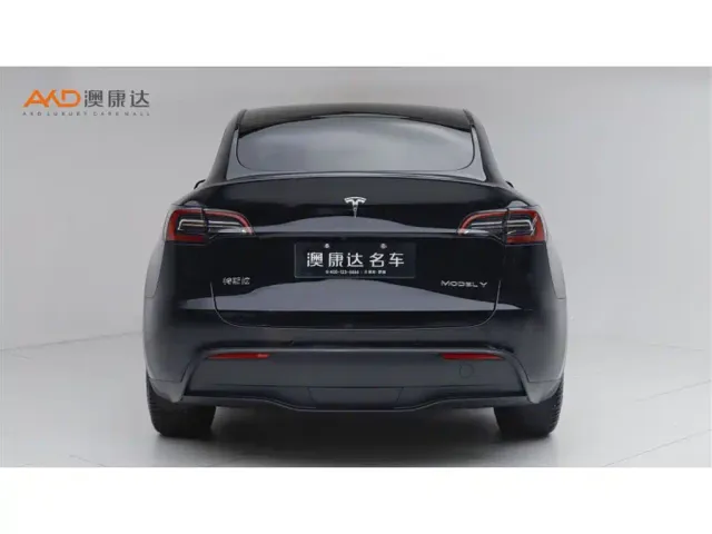 Tesla Model Y — Фото автомобиля 4