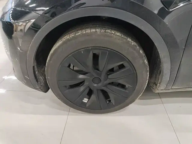 Tesla Model Y — Фото автомобиля 22