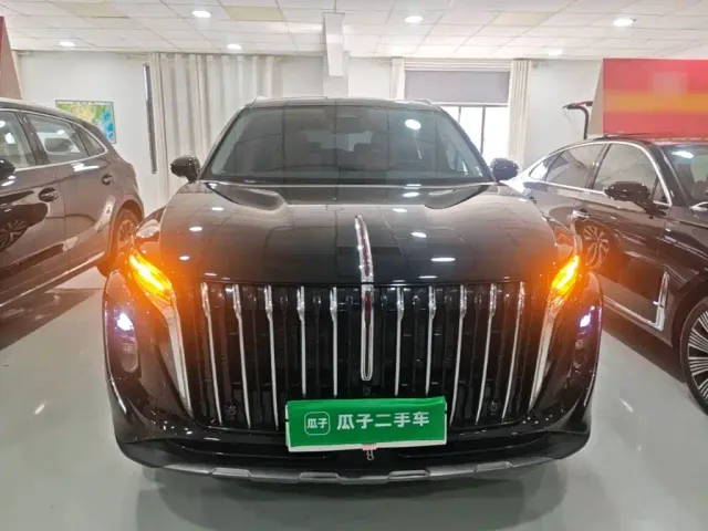 Hongqi HS7 PHEV — Фото автомобиля 2
