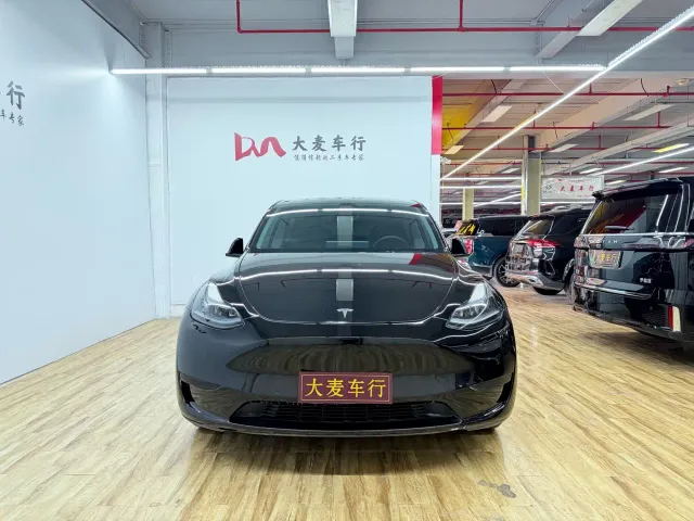 Tesla Model Y — Фото автомобиля 2