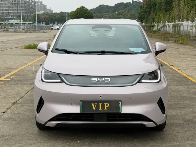 BYD Dolphin — Фото автомобиля 2