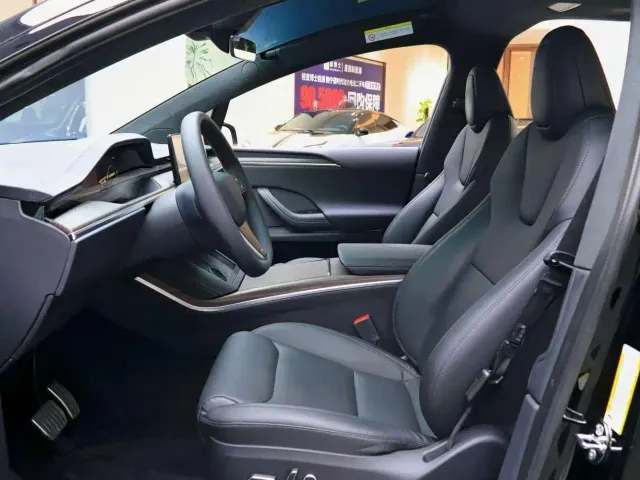 Tesla Model X — Фото автомобиля 5