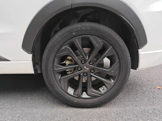 JAC Motors JAC QX PHEV — Фото автомобиля 25