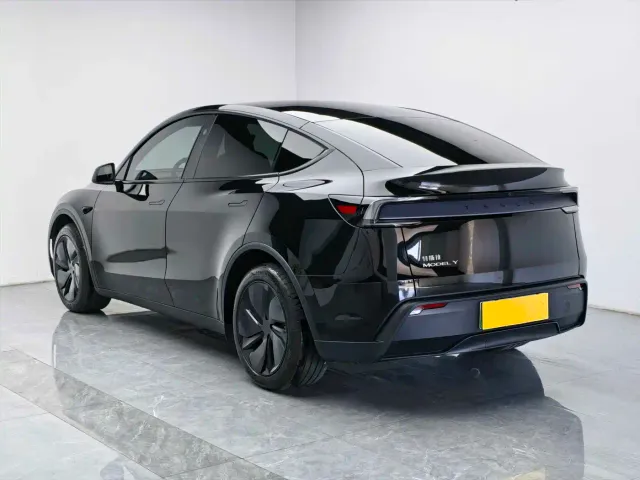 Tesla Model Y — Фото автомобиля 2