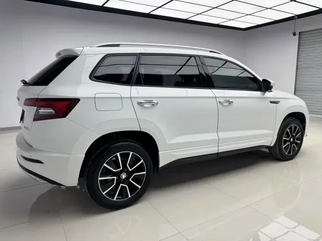 Skoda Karoq — Фото автомобиля 6