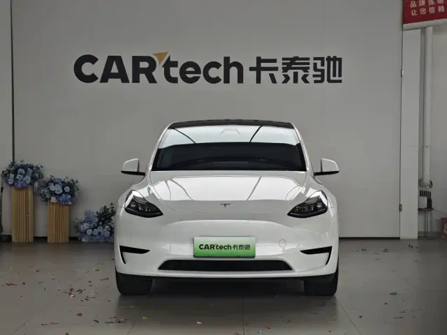 Tesla Model Y — Фото автомобиля 2
