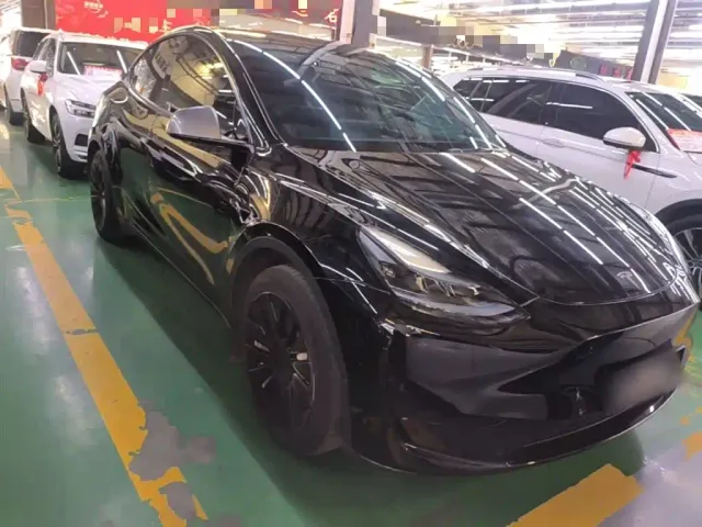 Tesla Model Y — Фото автомобиля 3